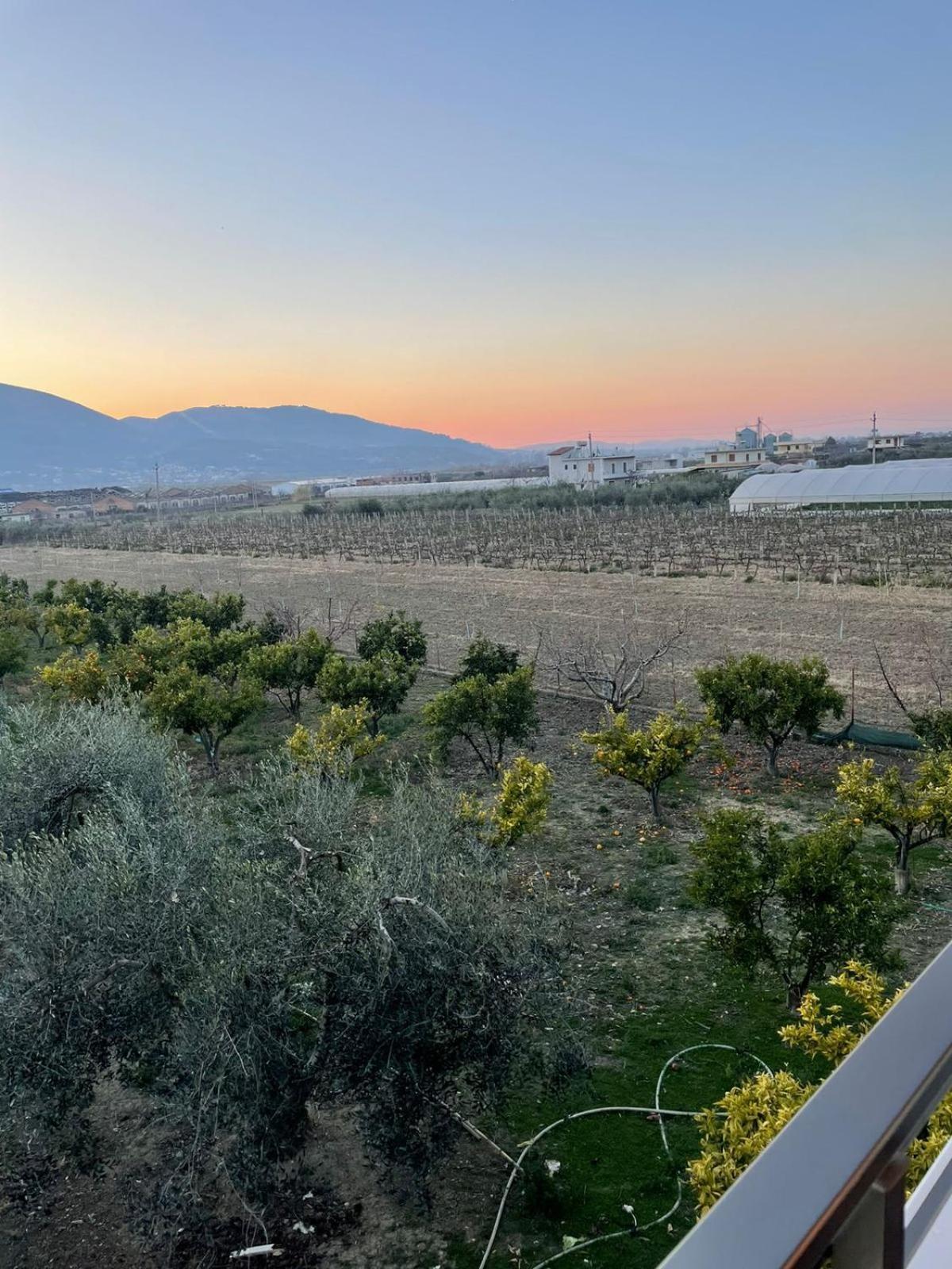 Harmony Villa Berat Exterior photo