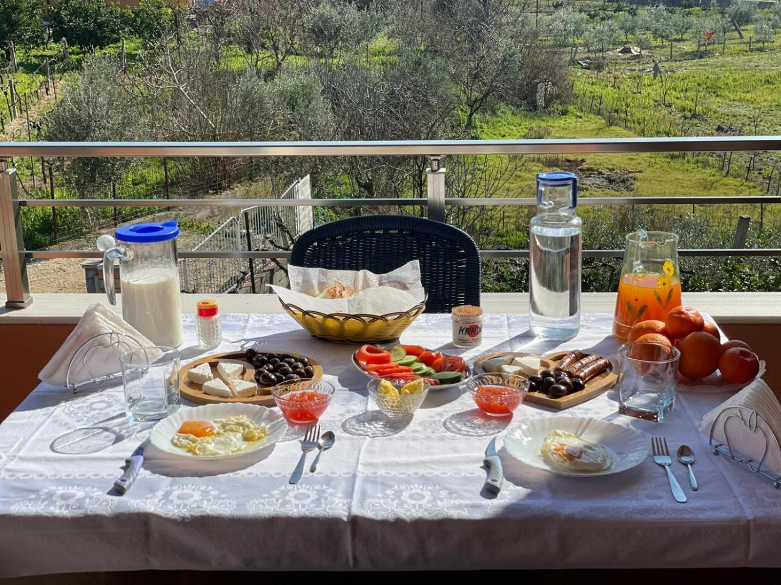 Harmony Villa Berat Exterior photo